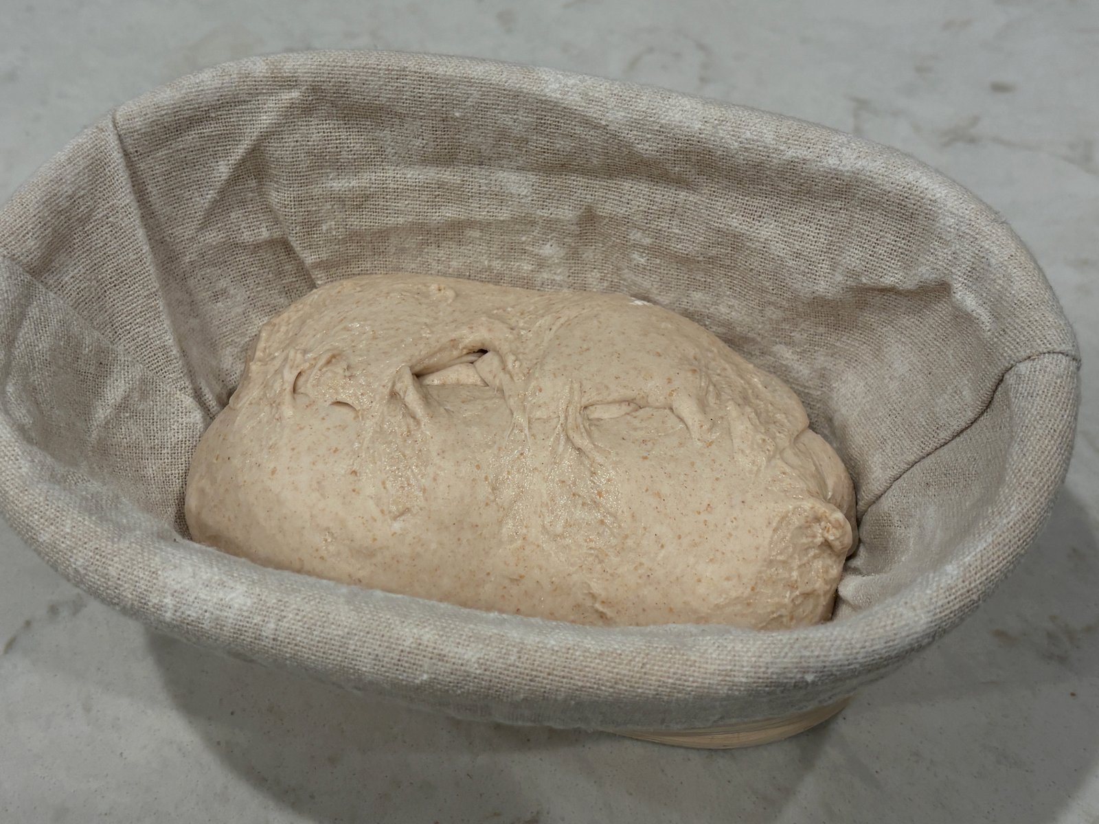 Shaped sourdough dough resting in an oval linen-lined banneton basket before cold proof