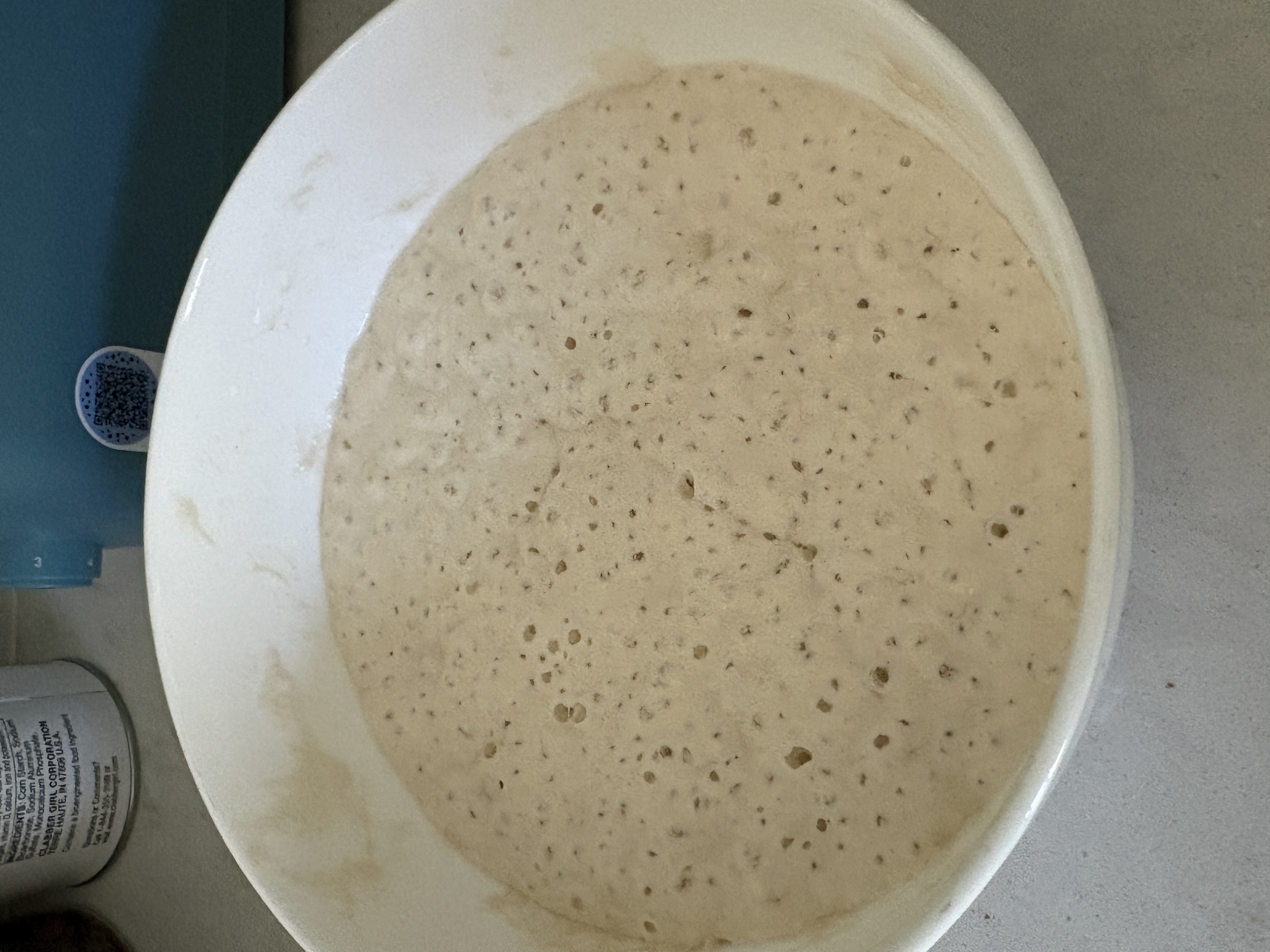 Active levain — fluffy and bubbly