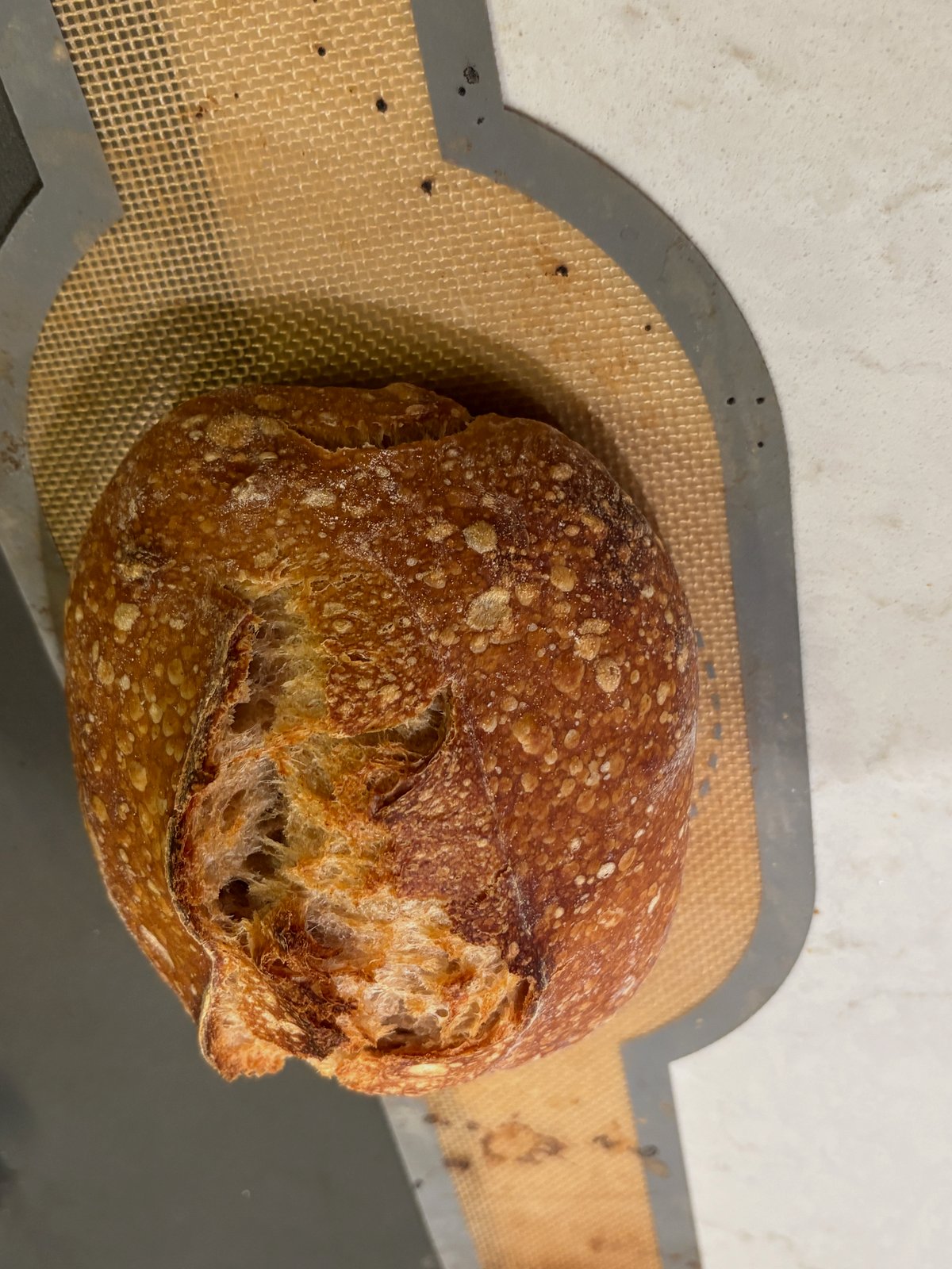 Blistered mahogany sourdough boule with a wide ragged ear on a baking mat