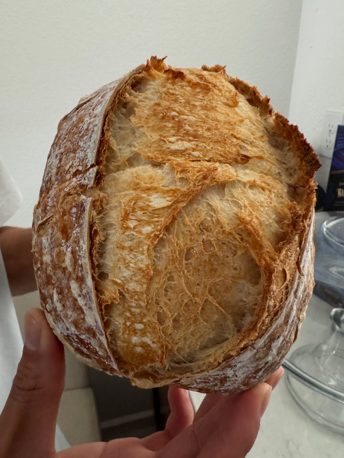 Mini sourdough loaf with a pronounced ear and golden crust, held in two hands