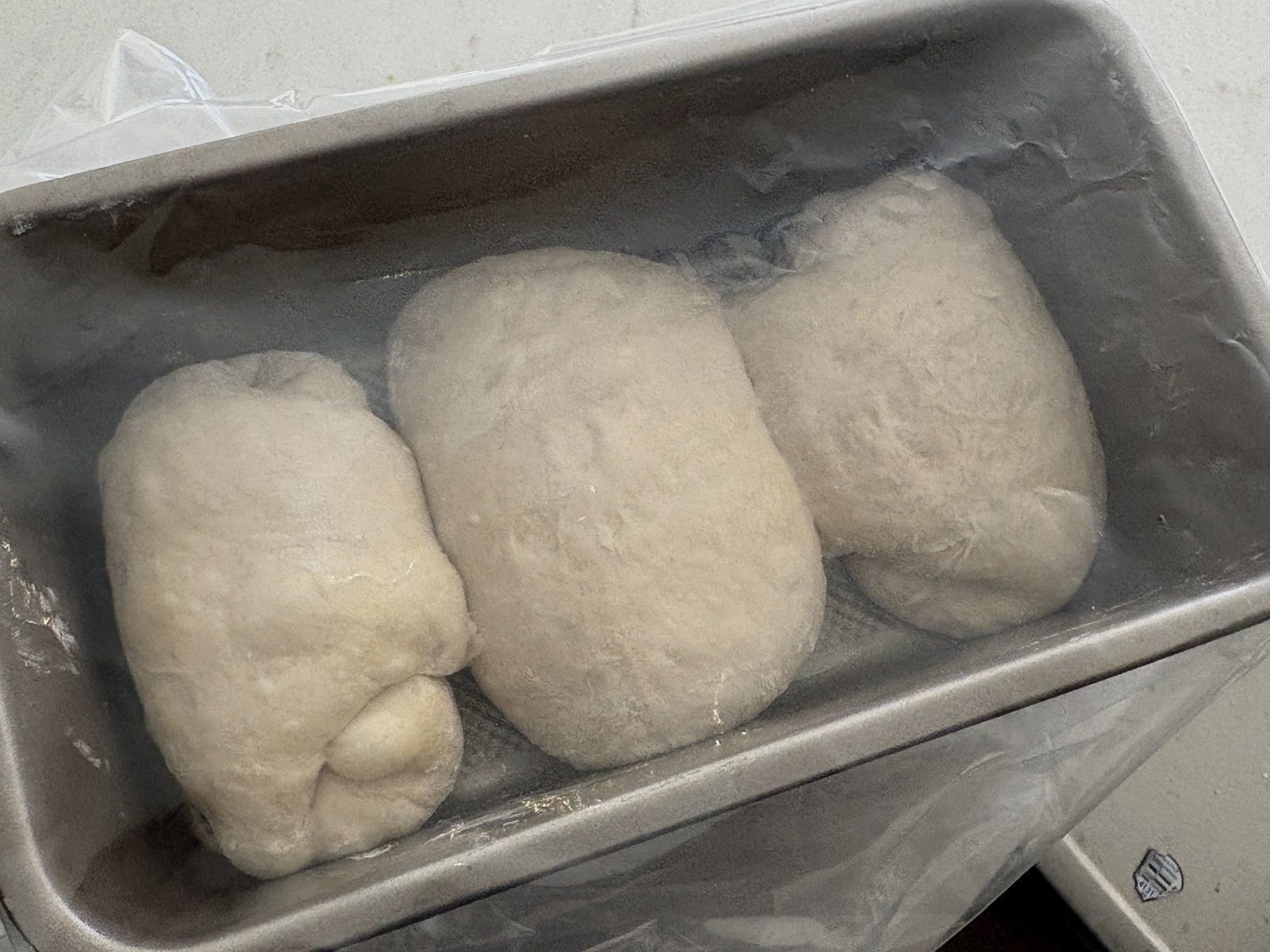 Whole wheat dough in a loaf pan before fridge proof — three soft mounds under plastic wrap